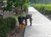 TMMD ke-126 Sukses Dorong Akses Pertanian, Pembangunan Jalan Rabat Beton Rampung Dikerjakan