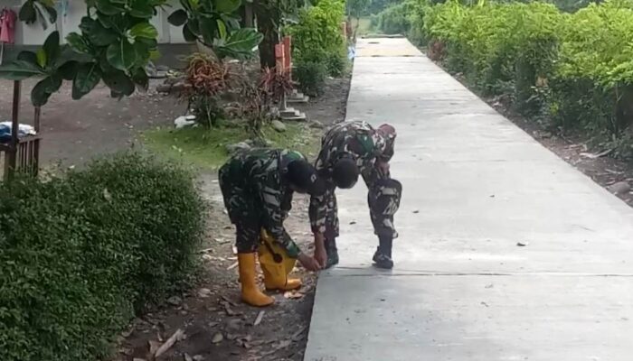 TMMD ke-126 Sukses Dorong Akses Pertanian, Pembangunan Jalan Rabat Beton Rampung Dikerjakan