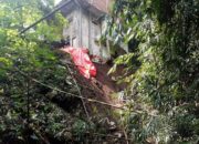 Longsor di Tlogomas: Dua Rumah Warga Terancam Ambruk, BPBD Minta Waspada Longsor Susulan