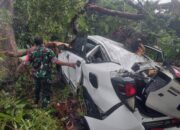 Pemkot Malang Siapkan Ganti Rugi Rp15 Juta untuk Kendaraan Tertimpa Pohon, DLH Gencarkan Pemangkasan
