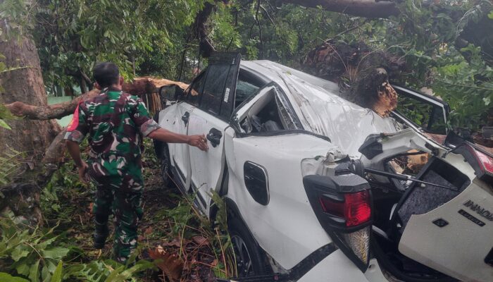 Pemkot Malang Siapkan Ganti Rugi Rp15 Juta untuk Kendaraan Tertimpa Pohon, DLH Gencarkan Pemangkasan