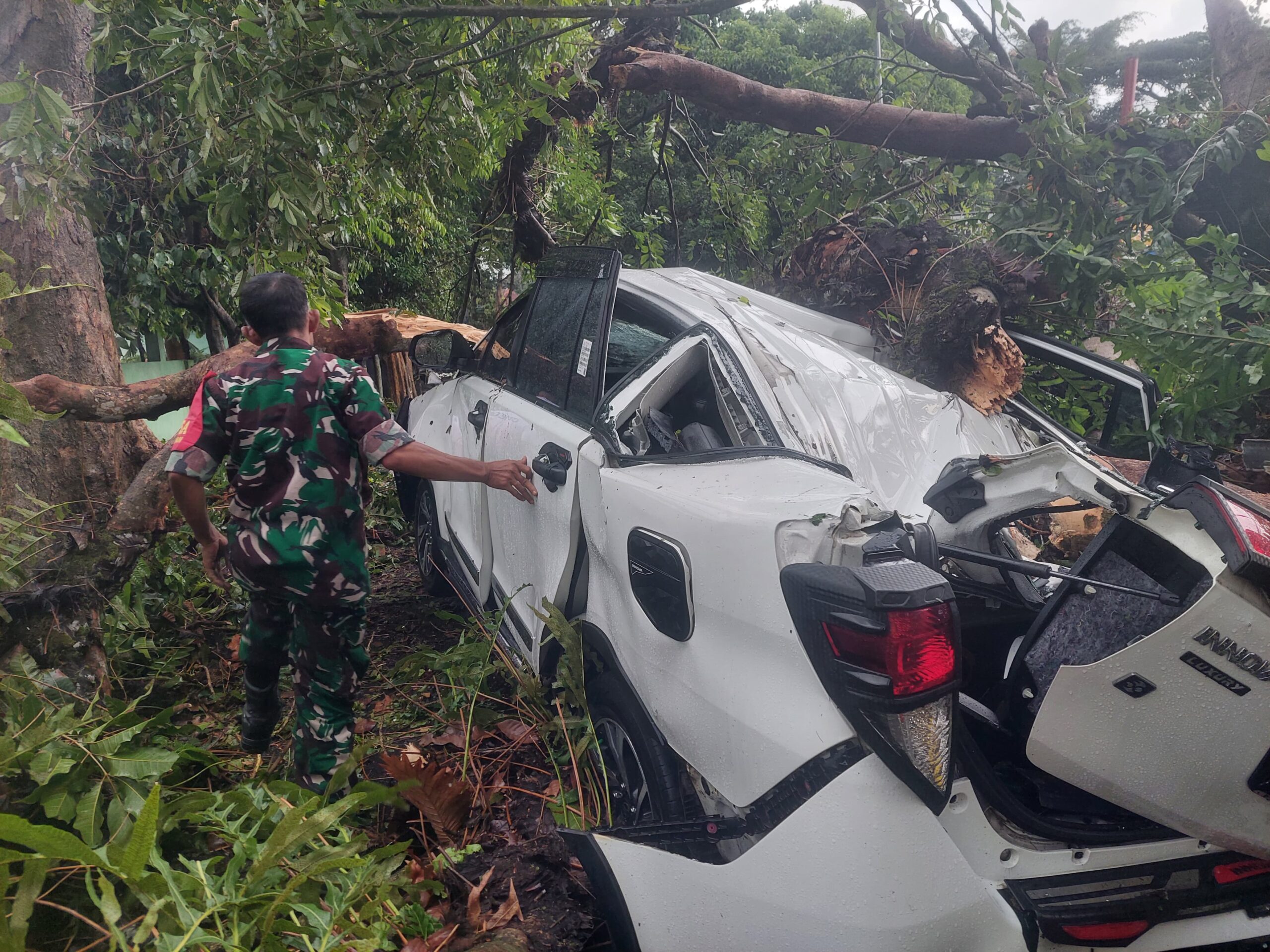 Pemkot Malang Siapkan Ganti Rugi Rp15 Juta untuk Kendaraan Tertimpa Pohon, DLH Gencarkan Pemangkasan