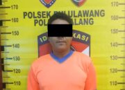 Terekam CCTV, Pencuri HP di Bululawang Tak Berkutik Saat Diringkus Polisi
