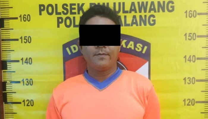 Terekam CCTV, Pencuri HP di Bululawang Tak Berkutik Saat Diringkus Polisi