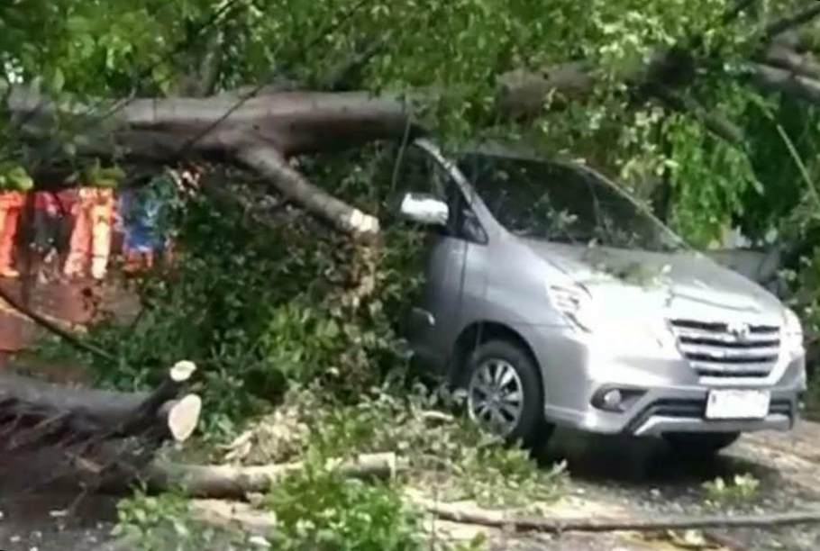 Hujan Angin Terjang Kota Malang, Dua Pohon Tumbang Timpa Mobil di Gadang dan Blimbing