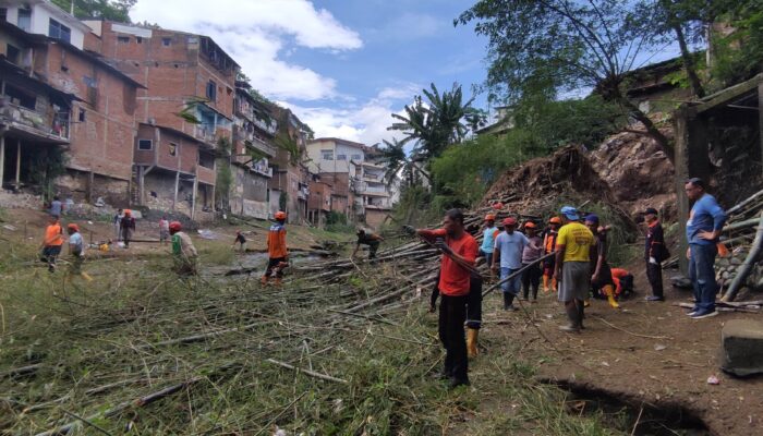 Hujan Deras Picu Longsor Rumpun Bambu di Samaan Malang, Timpa Rumah Warga