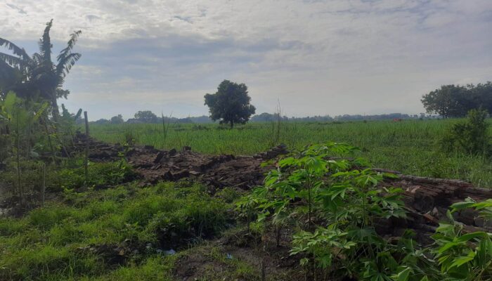 Pagar SDN 6 Jombatan Jombang Ambruk Diterjang Hujan Angin, Atap Rumah Penjaga Sekolah Rusak