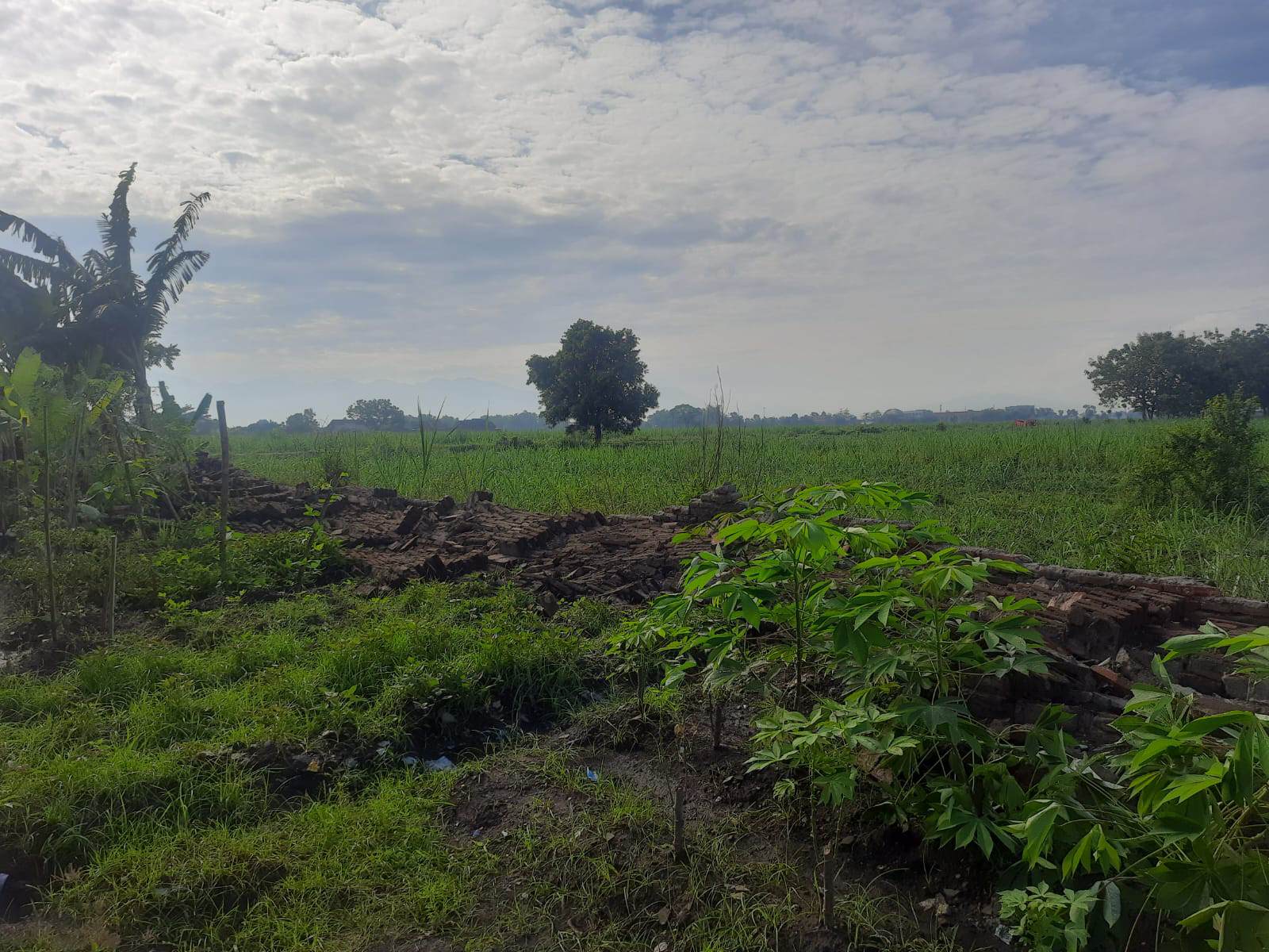 Pagar SDN 6 Jombatan Jombang Ambruk Diterjang Hujan Angin, Atap Rumah Penjaga Sekolah Rusak