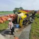 Truk Bermuatan Cabai Alami Kecelakaan di Tol Jombang–Mojokerto, Sopir Diduga Mengantuk