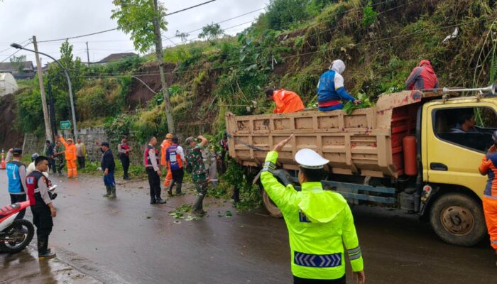 Sumber Brantas Darurat Longsor, Hujan Lebat Bikin Rumah dan Perkebunan Rusak