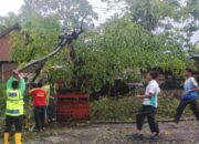 Cuaca ekstrem kembali melanda wilayah Kabupaten Malang. Hujan deras disertai angin kencang menerjang kawasan Desa Tamanharjo, Kecamatan Singosari, pada Senin (10/11/2025) siang. Akibat kejadian tersebut, beberapa rumah warga mengalami kerusakan dan sejumlah pohon dilaporkan tumbang.