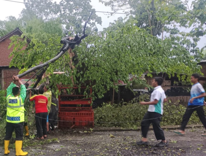 Cuaca ekstrem kembali melanda wilayah Kabupaten Malang. Hujan deras disertai angin kencang menerjang kawasan Desa Tamanharjo, Kecamatan Singosari, pada Senin (10/11/2025) siang. Akibat kejadian tersebut, beberapa rumah warga mengalami kerusakan dan sejumlah pohon dilaporkan tumbang.