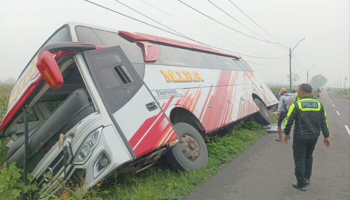 Kecelakaan Bus PO Mira di Jogoroto Jombang, 11 Penumpang Selamat