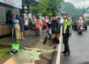 Kecelakaan lalu lintas tragis terjadi di Jalan Panglima Sudirman, Desa Gondanglegiwetan, Kecamatan Gondanglegi, Kabupaten Malang, Kamis (13/11/2025) pagi.