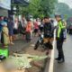 Wanita Asal Sumbermanjing Wetan Tewas di Jalan Panglima Sudirman Gondanglegi, Usai Tabrakan dengan Mobil Misterius