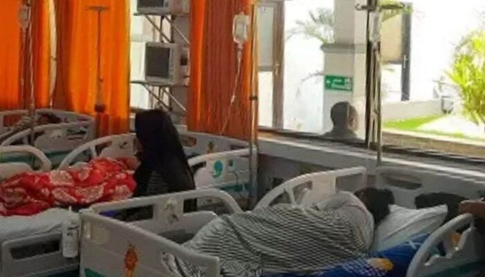 Kasus DBD di Jombang Meningkat Tajam Jelang Musim Hujan, Dinkes Ingatkan Waspada