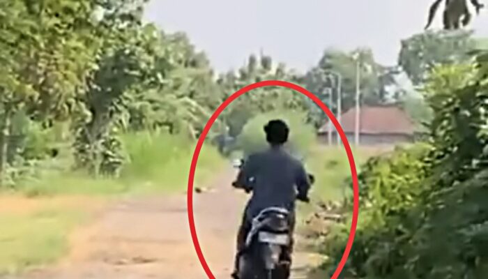 Emak-Emak di Ngoro Jombang Jadi Korban Ekshibisionisme, Pelaku Pamer Alat Kelamin di Depan Rumah