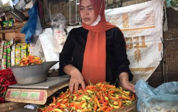 Jelang Nataru 2025, Harga Sayuran dan Daging di Jombang Naik Tajam