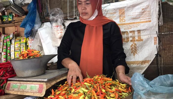 Jelang Nataru 2025, Harga Sayuran dan Daging di Jombang Naik Tajam