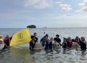 Dalam rangka Sosphoria Dies Natalis Himpunan Mahasiswa Program Studi Pendidikan IPS Universitas Raden Rahmat (Unira) Malang, sebanyak 35 mahasiswa menggelar aksi sosial penanaman terumbu karang di kawasan pesisir.