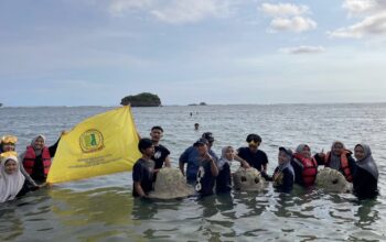 Dalam rangka Sosphoria Dies Natalis Himpunan Mahasiswa Program Studi Pendidikan IPS Universitas Raden Rahmat (Unira) Malang, sebanyak 35 mahasiswa menggelar aksi sosial penanaman terumbu karang di kawasan pesisir.