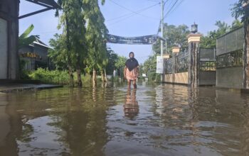 Badan Penanggulangan Bencana Daerah (BPBD) Kabupaten Jombang Jawa Timur merilis data bencana sepanjang Januari hingga awal Desember 2025.
