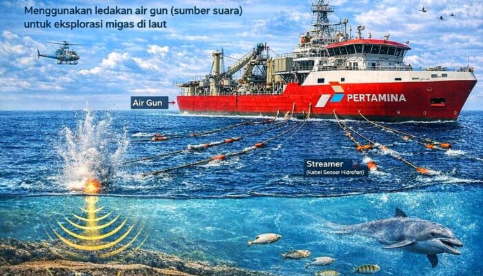 Gelombang Seismik Migas Dinilai Picu Risiko Ekologi Laut Selatan Jawa, Aktivis Lingkungan Minta Evaluasi Menyeluruh
