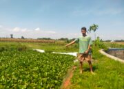 Keluhan warga Desa Mayangan, Kecamatan Jogoroto, Kabupaten Jombang, Jawa Timur, terkait sawahnya dirubah fungsi menjadi tempat penampungan IPAL limbah tahu, belum ada kejelasan.