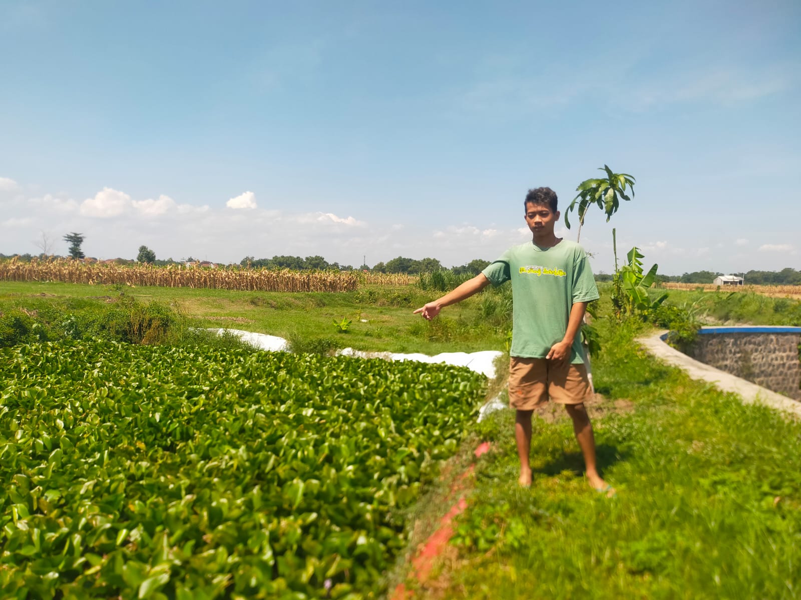 Keluhan warga Desa Mayangan, Kecamatan Jogoroto, Kabupaten Jombang, Jawa Timur, terkait sawahnya dirubah fungsi menjadi tempat penampungan IPAL limbah tahu, belum ada kejelasan.