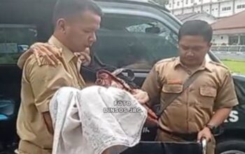 Dinas Sosial (Dinsos) Kabupaten Jombang, Jawa Timur, menangani seorang lansia terlantar di area SPBU Sambong setelah menerima laporan dari kepala Desa Sambong.