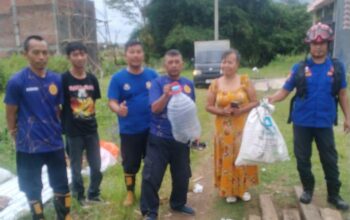 Teror Cobra di Permukiman Pakis, Damkar Kabupaten Malang Evakuasi Puluhan Anakan Ular Berbisa