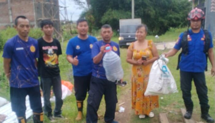 Teror Cobra di Permukiman Pakis, Damkar Kabupaten Malang Evakuasi Puluhan Anakan Ular Berbisa