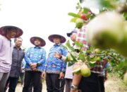 Pemulihan Asa Apel Kota Batu, Cak Nur-Mas Heli Turun ke Kebun Besta