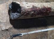 Lansia di Pagak Ditemukan Tewas Penuh Luka, Polisi Periksa Seorang Pria Diduga Mengalami Gangguan Jiwa