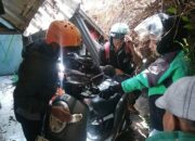Dua Motor Tertimpa Pohon Beringin Besar di Jalan Merapi Kota Malang