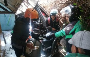 Dua Motor Tertimpa Pohon Beringin Besar di Jalan Merapi Kota Malang