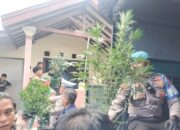 Gerebek Rumah Kontrakan di Mojongapit Jombang, Polisi Temukan Ratusan Pot Tanaman Ganja