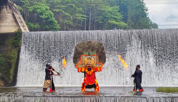 Ajang Macro Nusantara HAMN 2025 di Malang Satukan Fotografer dari Berbagai Daerah