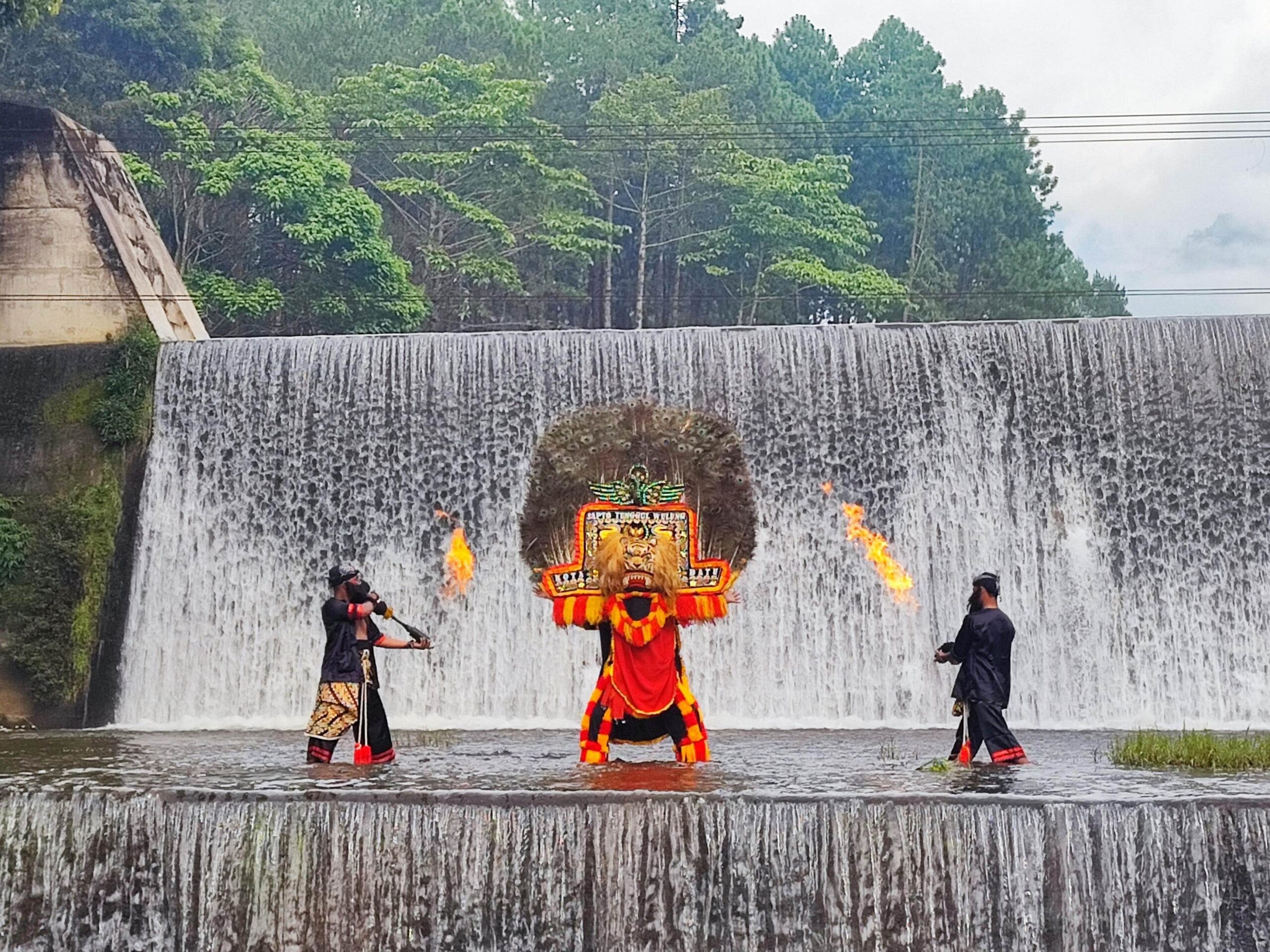 Ajang Macro Nusantara HAMN 2025 di Malang Satukan Fotografer dari Berbagai Daerah