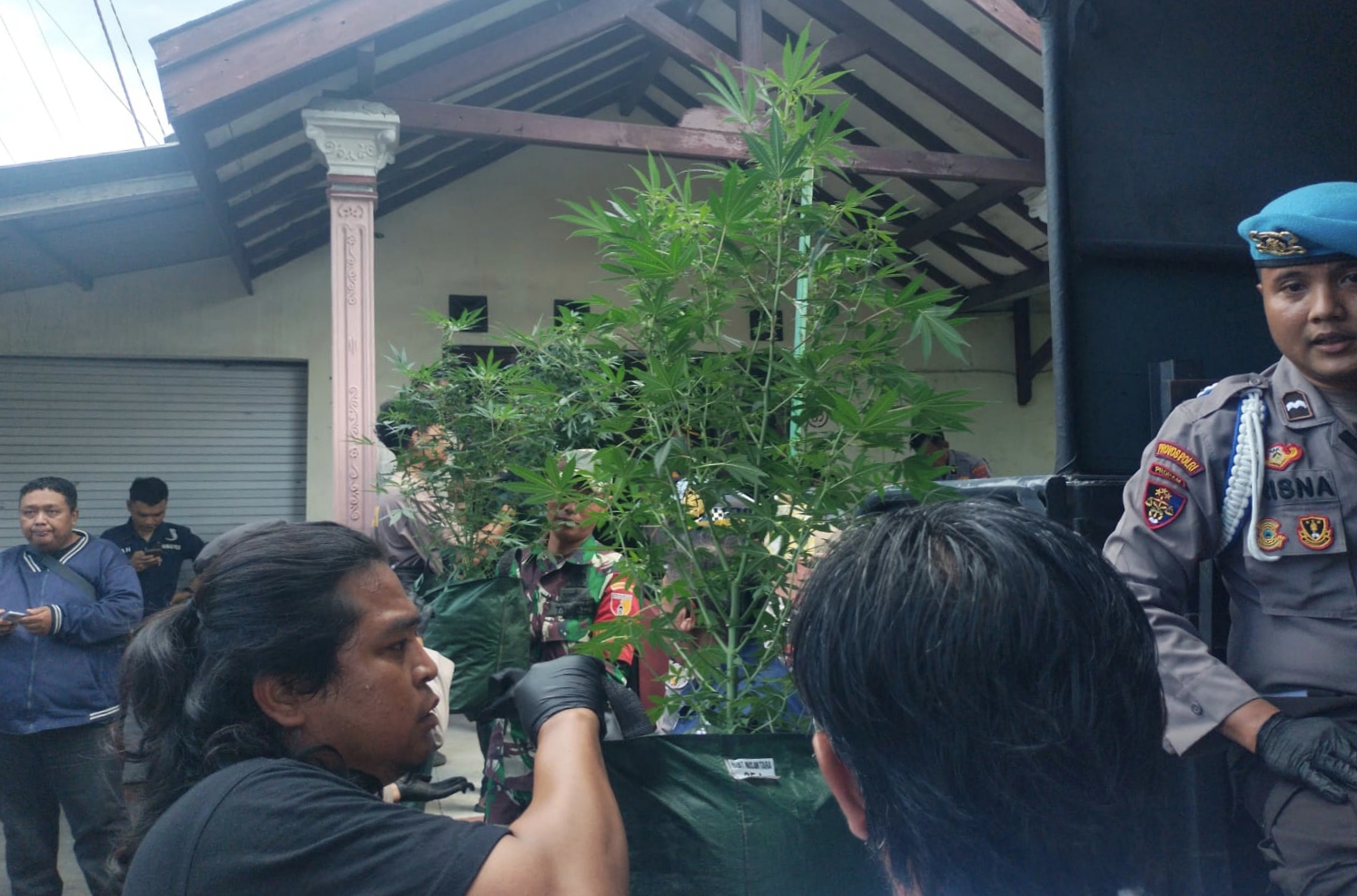 Satuan Reserse Narkoba (Satresnarkoba) Polres Jombang, terus mengembangkan kasus penggerebekan ladang ganja rumahan di Desa Mojongapit, Kecamatan Jombang, Kabupaten Jombang, Jawa Timur.