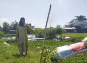 Sejumlah warga Desa Mayangan, Kecamatan Jogoroto, Kabupaten Jombang, Jawa Timur mengeluhkan pengerukan lahan persawahan milik mereka yang digunakan untuk proyek Instalasi Pengolahan Air Limbah (IPAL) pabrik tahu.