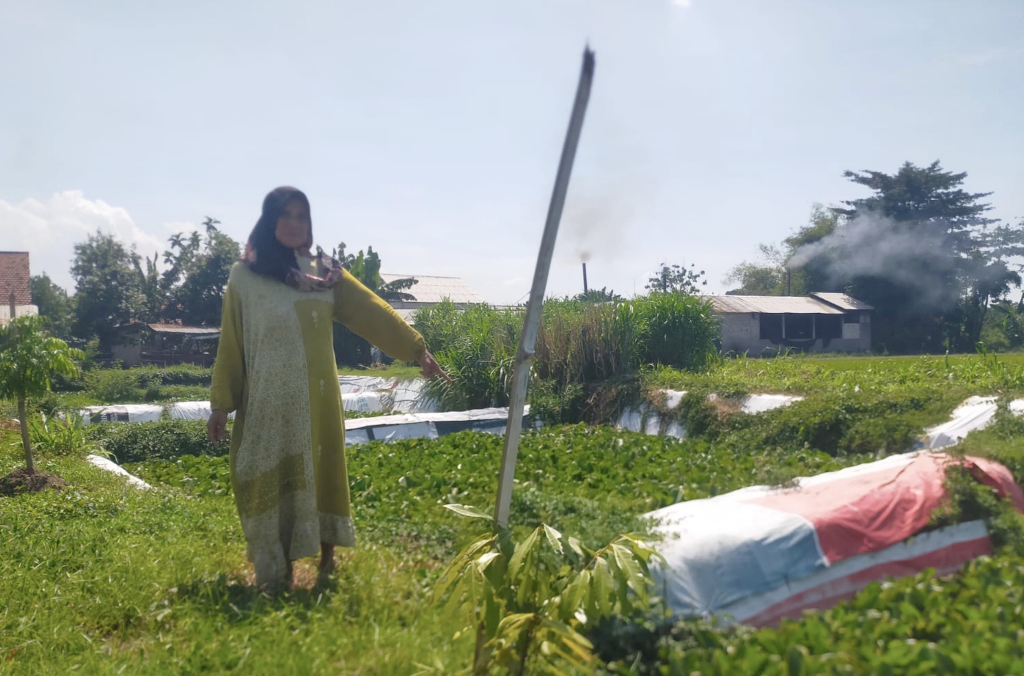 Sejumlah warga Desa Mayangan, Kecamatan Jogoroto, Kabupaten Jombang, Jawa Timur mengeluhkan pengerukan lahan persawahan milik mereka yang digunakan untuk proyek Instalasi Pengolahan Air Limbah (IPAL) pabrik tahu.