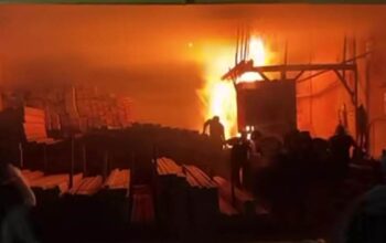 Gudang Penggergajian Kayu di Pakis Malang Terbakar, Polisi Duga Korsleting Listrik