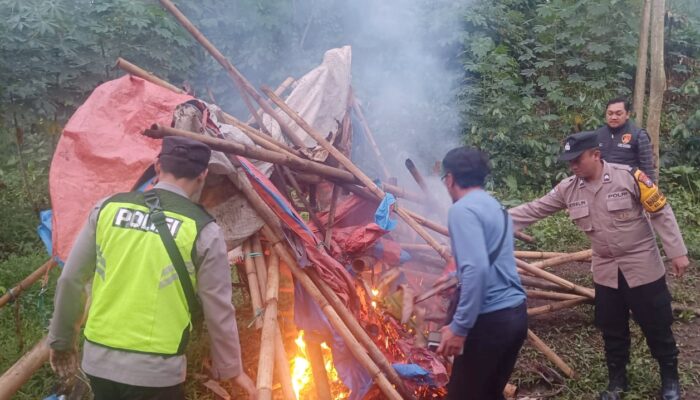 Laporan Warga Lewat 110 Berbuah Tindakan, Polisi Bongkar Arena Judi Sabung Ayam di Singosari