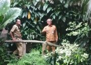 Antisipasi Lonjakan Wisatawan Nataru, Pemkot Malang Tekankan Keamanan dan Keselamatan Destinasi