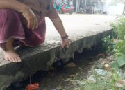 Khawatir Ambruk, Warga Tobai Timur Minta Dinas PUPR Tinjau Jalan Beton yang Berongga karena Tergerus Air dari Bawah