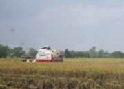 Kades di Jombang Diduga Jual Combine Harvester Bantuan dari Pemerintah