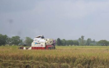 Kades di Jombang Diduga Jual Combine Harvester Bantuan dari Pemerintah