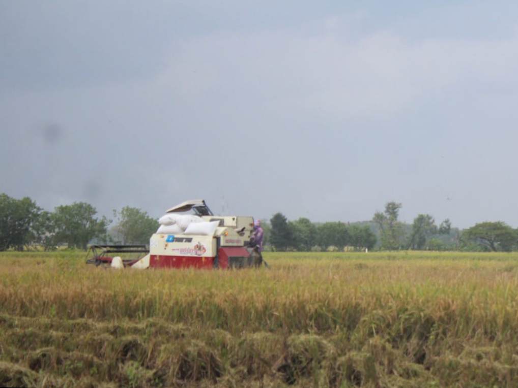 Kades di Jombang Diduga Jual Combine Harvester Bantuan dari Pemerintah