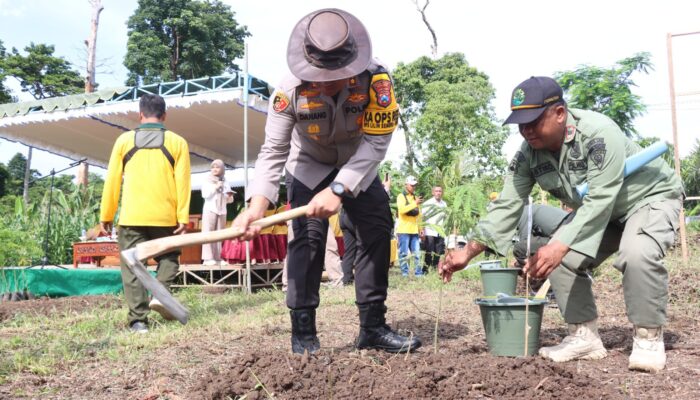 Tanam Ribuan Pohon di Donomulyo, Polres Malang Perkuat Mitigasi Bencana Bersama Perhutani